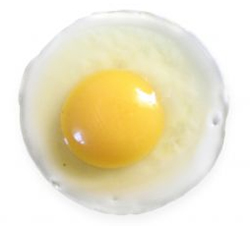 Fried Egg Art