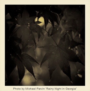 Rainy Night in Georgia by Michael Parvin